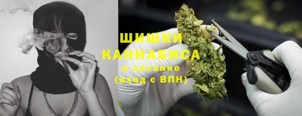 бошки Алзамай