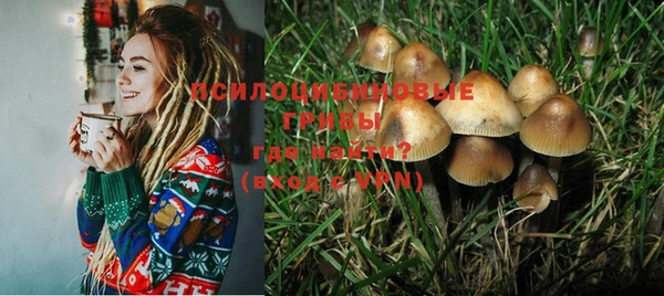 бошки Алзамай