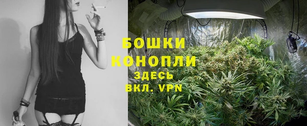 бошки Алзамай